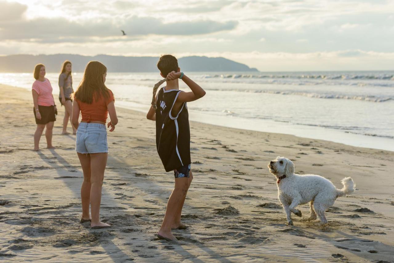 Ohope Beach Top 10 Holiday Park Luaran gambar